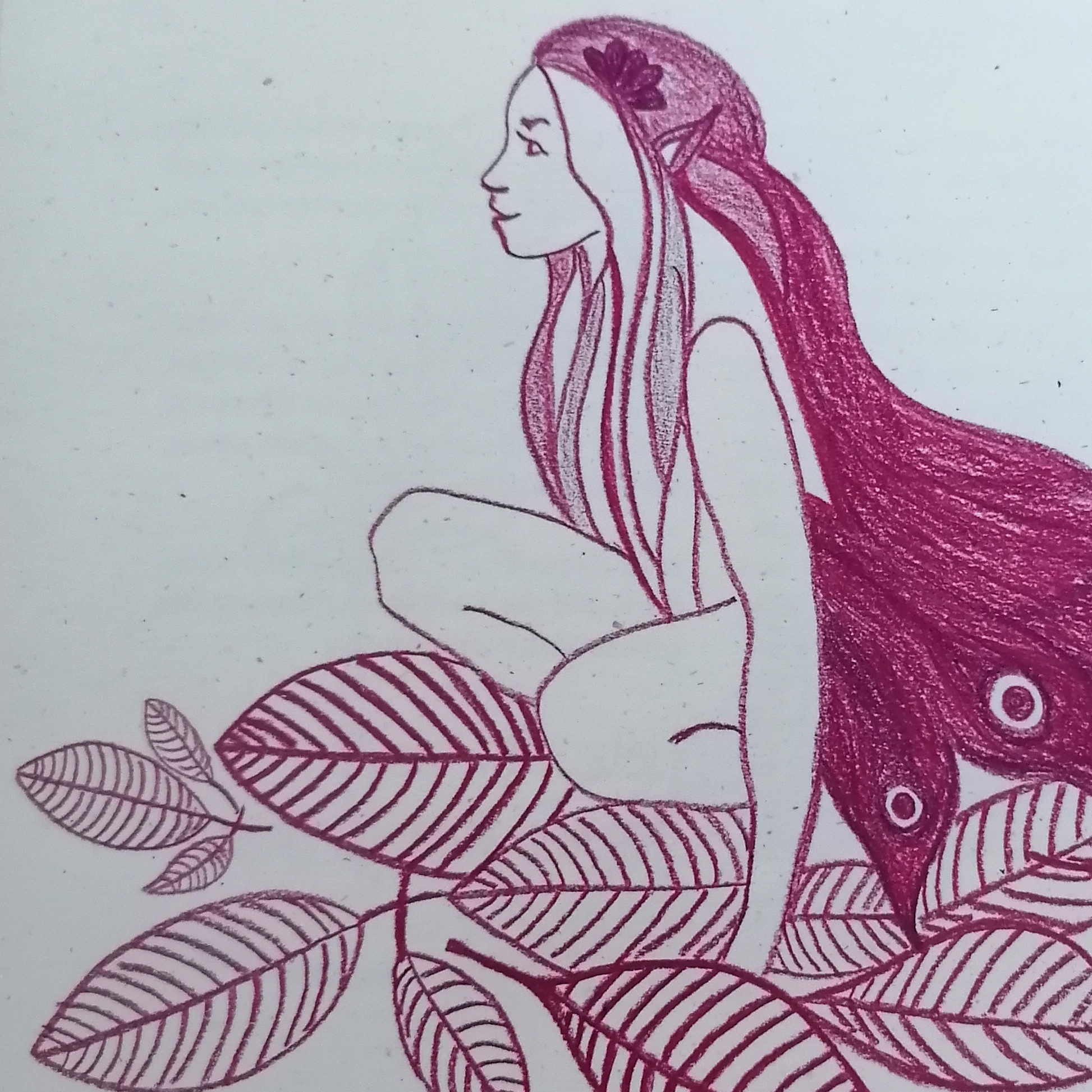 Zyklusbuch & Zyklusrad Fee